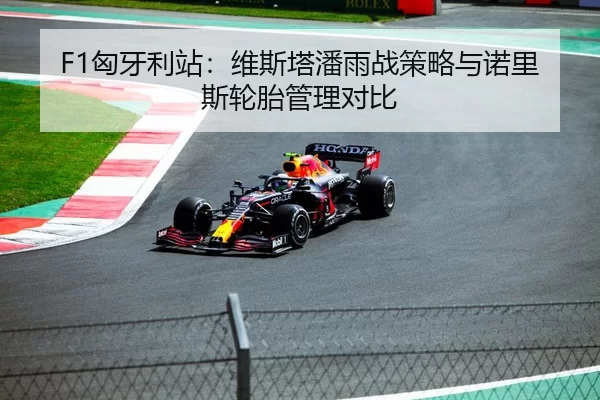 F1匈牙利站：维斯塔潘雨战策略与诺里斯轮胎管理对比