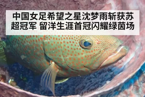 中国女足希望之星沈梦雨斩获苏超冠军 留洋生涯首冠闪耀绿茵场