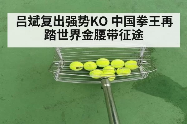 吕斌复出强势KO 中国拳王再踏世界金腰带征途